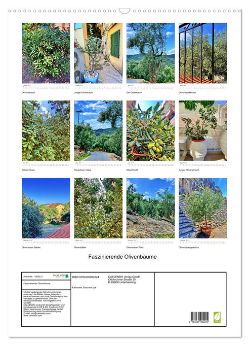 Faszinierende Olivenbäume (CALVENDO Wandkalender 2025)