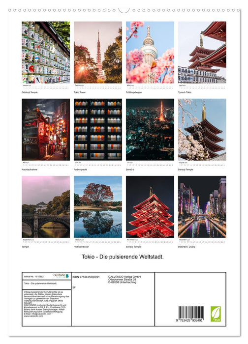 Tokio - Die pulsierende Weltstadt. (CALVENDO Wandkalender 2025)