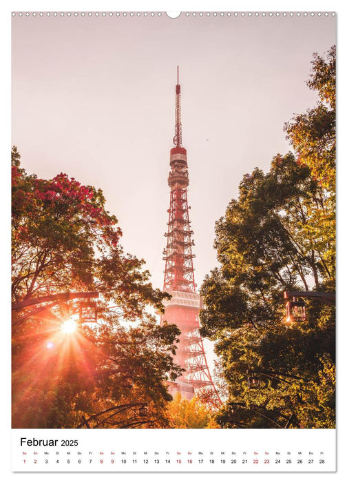 Tokio - Die pulsierende Weltstadt. (CALVENDO Wandkalender 2025)