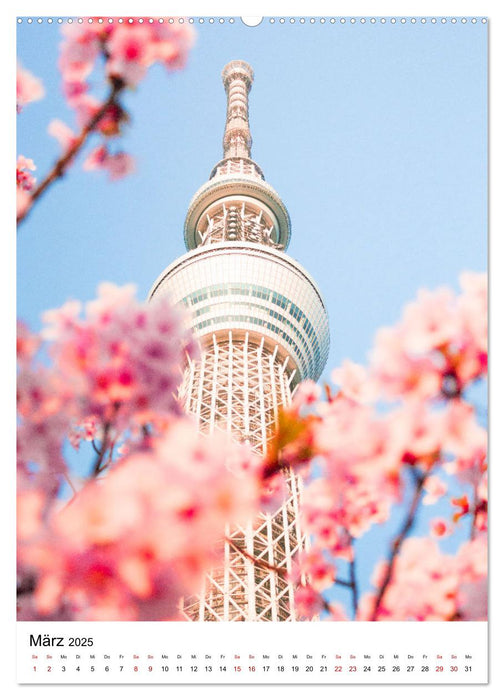 Tokio - Die pulsierende Weltstadt. (CALVENDO Wandkalender 2025)