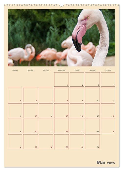 Kleiner Zoobesuch . Familienplaner (CALVENDO Premium Wandkalender 2025)