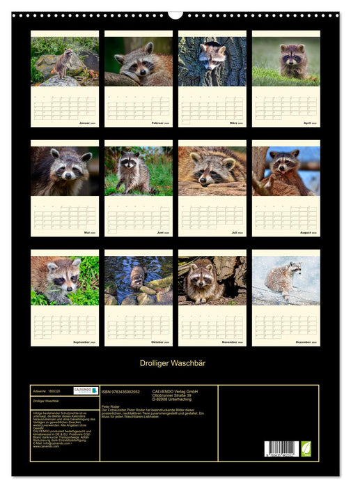 Drolliger Waschbär (CALVENDO Wandkalender 2025)
