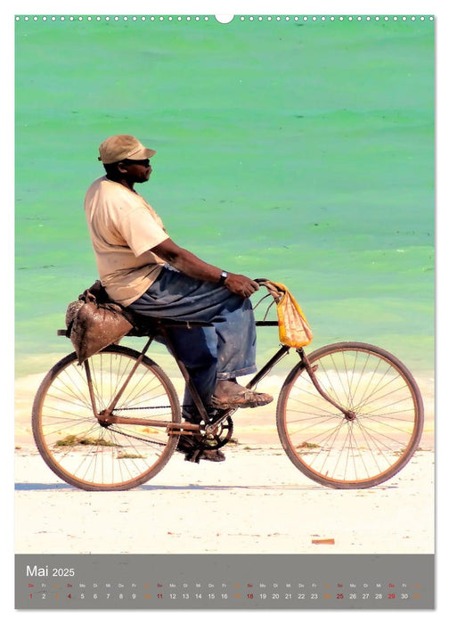 Fahrradfahren (CALVENDO Premium Wandkalender 2025)