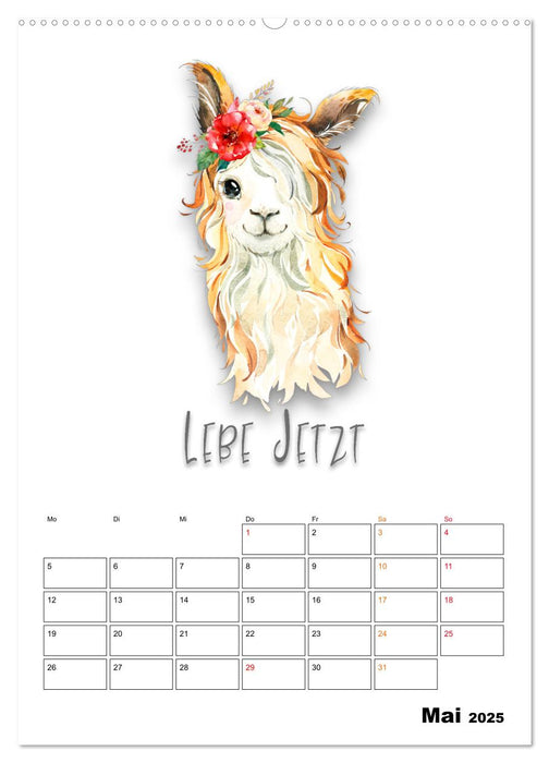 Bleib cool - Gute-Laune-Kalender (CALVENDO Premium Wandkalender 2025)