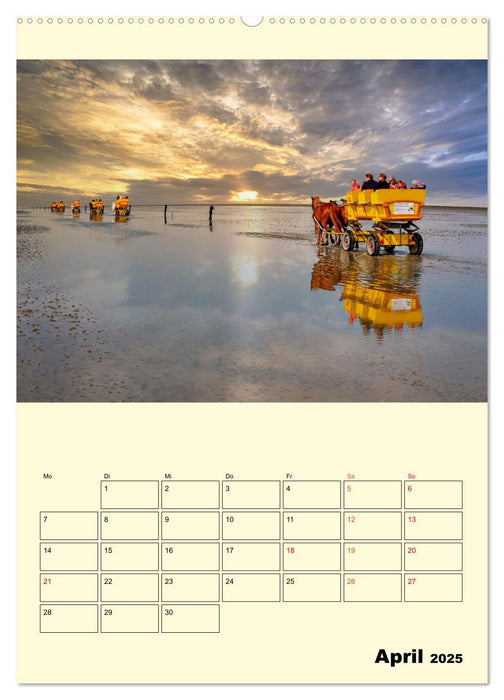 Meine geliebte Nordsee (CALVENDO Wandkalender 2025)