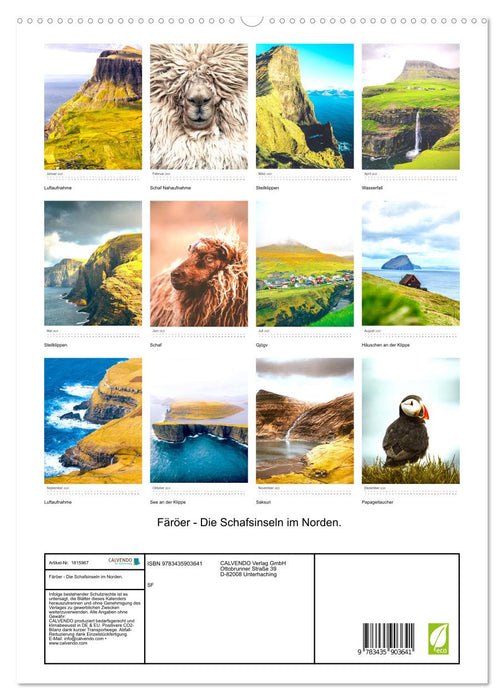 Färöer - Die Schafsinseln im Norden. (CALVENDO Premium Wandkalender 2025)