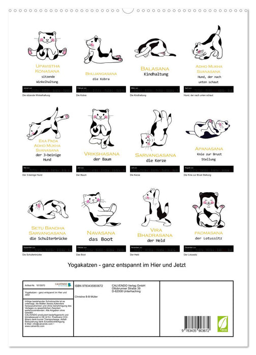 Yogakatzen - ganz entspannt im Hier und Jetzt (CALVENDO Premium Wandkalender 2025)