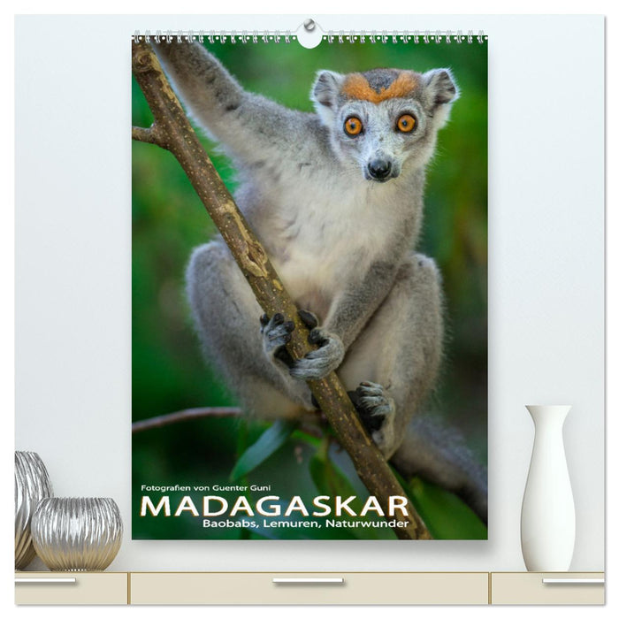 MADAGASKAR: Baobabs, Lemuren, Naturwunder (CALVENDO Premium Wandkalender 2025)