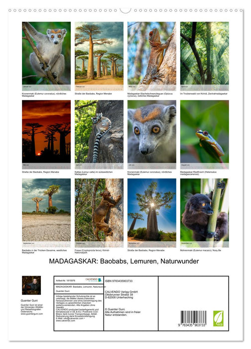 MADAGASKAR: Baobabs, Lemuren, Naturwunder (CALVENDO Premium Wandkalender 2025)