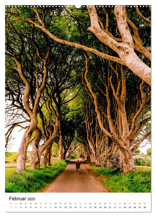 Nordirland - Landschaft, die beeindruckt (CALVENDO Premium Wandkalender 2025)