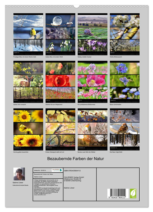 Bezaubernde Farben der Natur (CALVENDO Premium Wandkalender 2025)