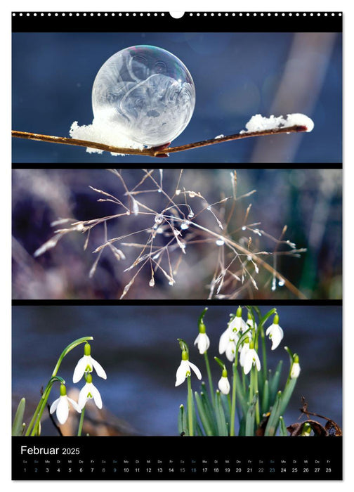 Bezaubernde Farben der Natur (CALVENDO Premium Wandkalender 2025)