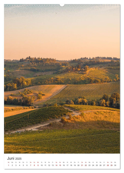 Toskana - Sonne, Wein und Kultur (CALVENDO Premium Wandkalender 2025)