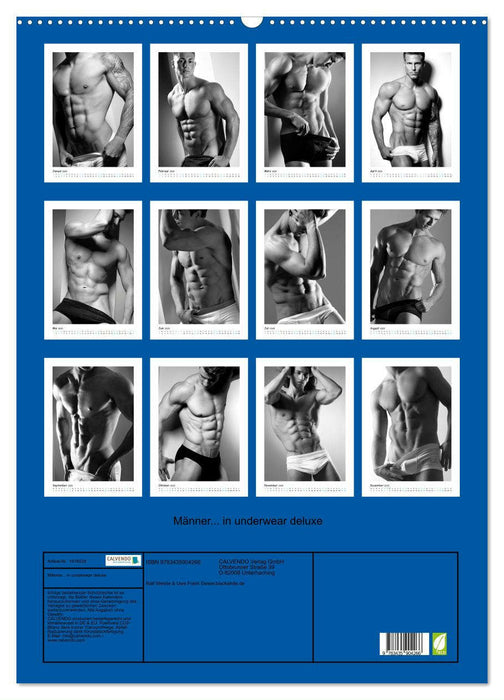 Männer... in underwear deluxe (CALVENDO Wandkalender 2025)