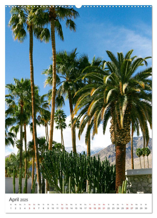 Palm Springs - Immer der Sonne nach. (CALVENDO Premium Wandkalender 2025)