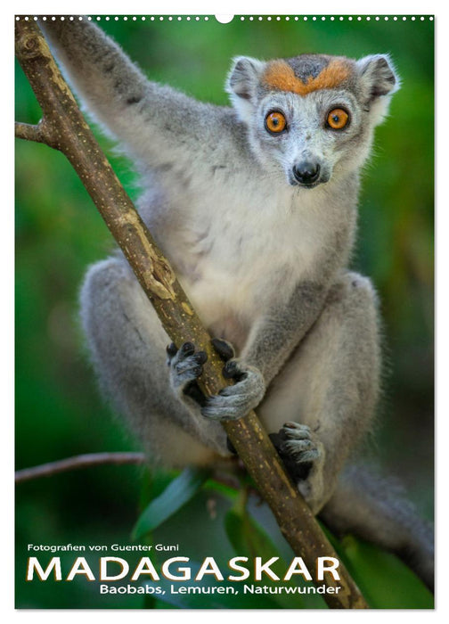 MADAGASKAR: Baobabs, Lemuren, Naturwunder (CALVENDO Wandkalender 2025)