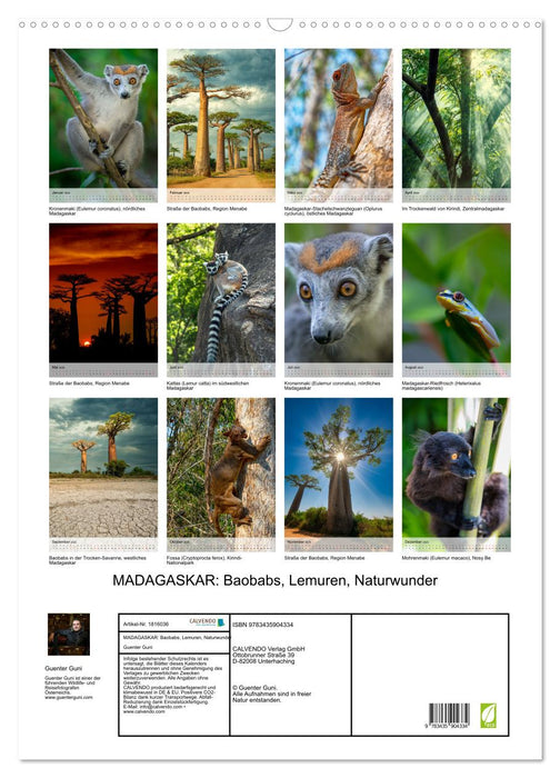 MADAGASKAR: Baobabs, Lemuren, Naturwunder (CALVENDO Wandkalender 2025)