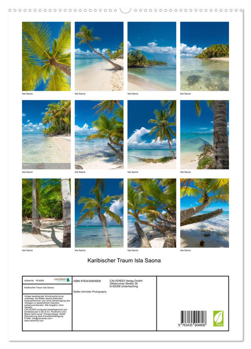 Karibischer Traum Isla Saona (CALVENDO Premium Wandkalender 2025)