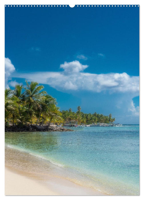 Karibischer Traum Isla Saona (CALVENDO Premium Wandkalender 2025)