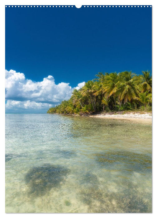 Karibischer Traum Isla Saona (CALVENDO Premium Wandkalender 2025)