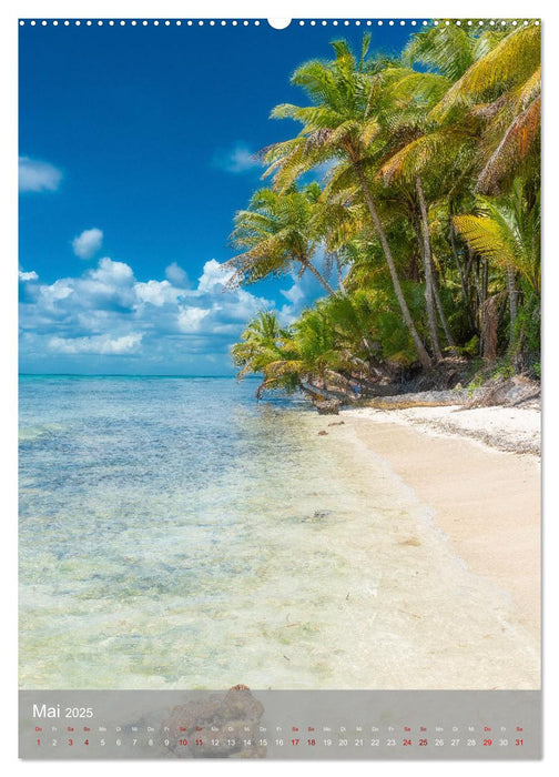 Karibischer Traum Isla Saona (CALVENDO Premium Wandkalender 2025)