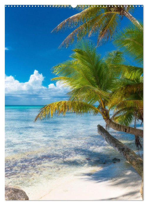 Karibischer Traum Isla Saona (CALVENDO Premium Wandkalender 2025)