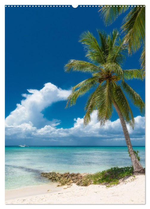 Karibischer Traum Isla Saona (CALVENDO Premium Wandkalender 2025)