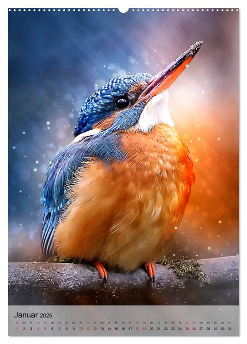 Schillernder Eisvogel (CALVENDO Premium Wandkalender 2025)