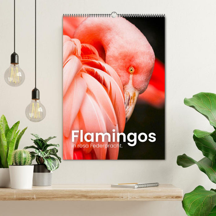 Flamingos in rosa Federpracht. (CALVENDO Wandkalender 2025)