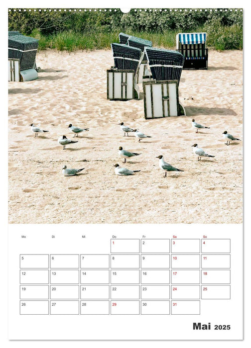 Usedom - Terminplaner (CALVENDO Premium Wandkalender 2025)