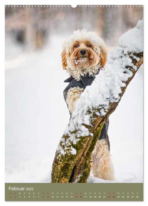 Pretty Dogs (CALVENDO Wandkalender 2025)