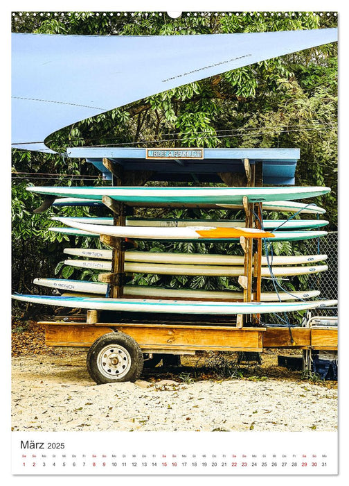Surfen - Auf der perfekten Welle. (CALVENDO Wandkalender 2025)