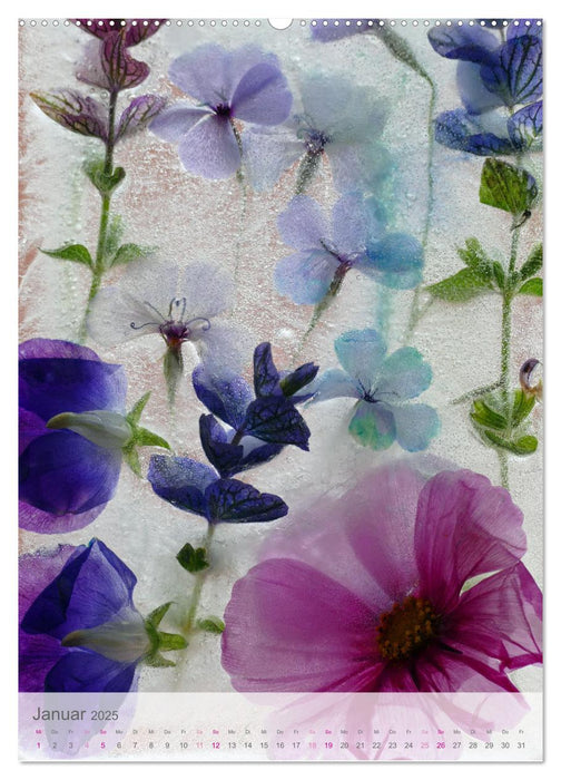 Blumen in Eis (CALVENDO Premium Wandkalender 2025)