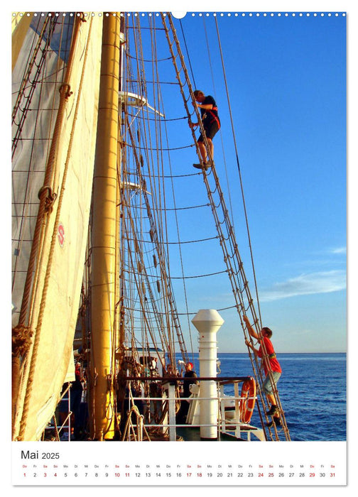 Unter weißen Segeln - Mit einem Dreimaster auf der Ostsee (CALVENDO Premium Wandkalender 2025)