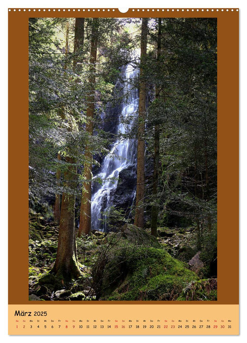 Schwarzwald Wasserfälle (CALVENDO Premium Wandkalender 2025)