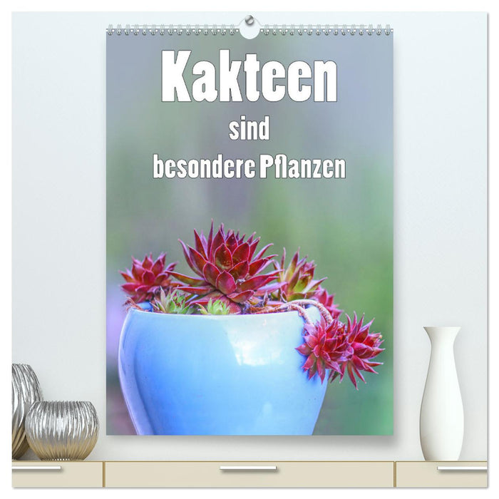 Kakteen sind besondere Pflanzen (CALVENDO Premium Wandkalender 2025)