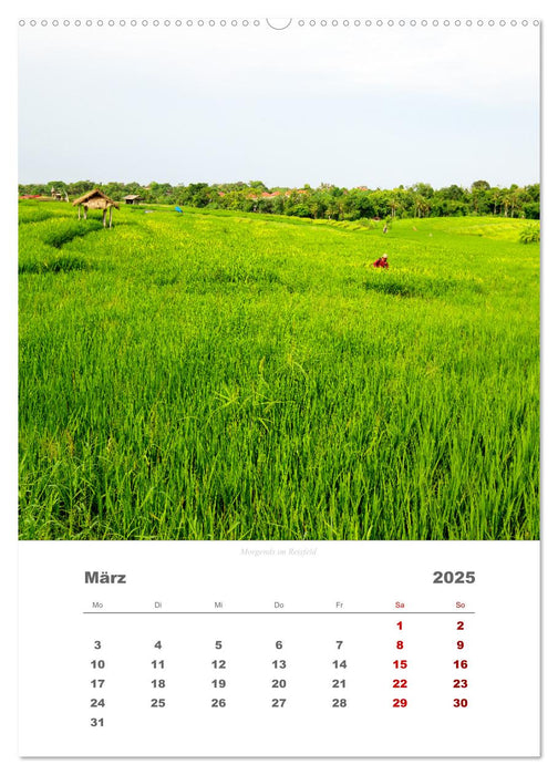 Reiseimpressionen durch Bali (CALVENDO Premium Wandkalender 2025)