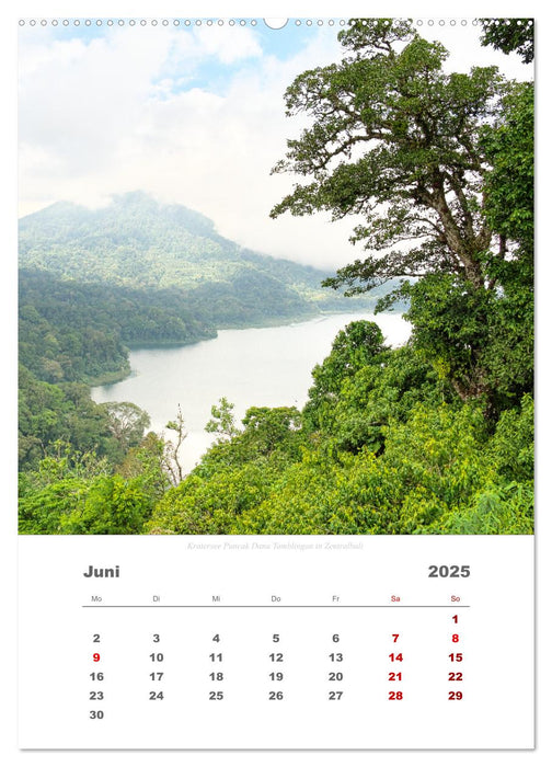 Reiseimpressionen durch Bali (CALVENDO Premium Wandkalender 2025)