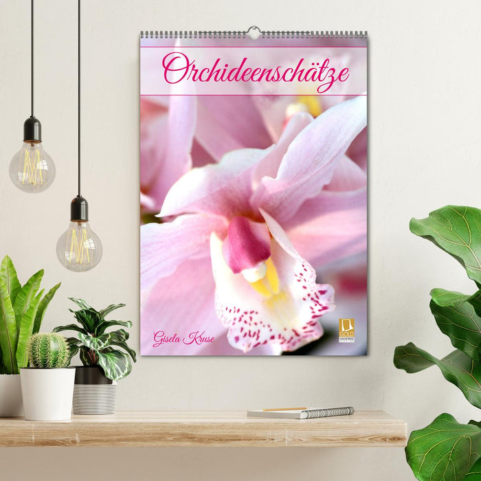 Orchideenschätze (CALVENDO Wandkalender 2025)