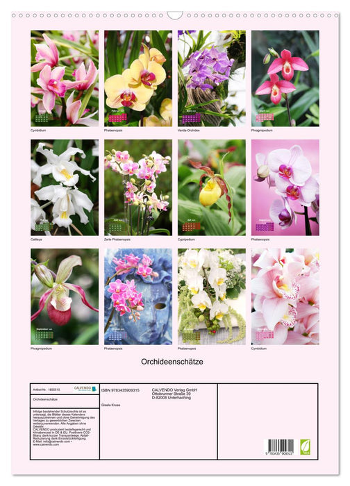 Orchideenschätze (CALVENDO Wandkalender 2025)