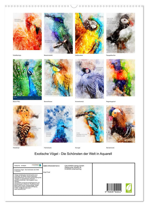 Exotische Vögel - Die Schönsten der Welt in Aquarell (CALVENDO Premium Wandkalender 2025)