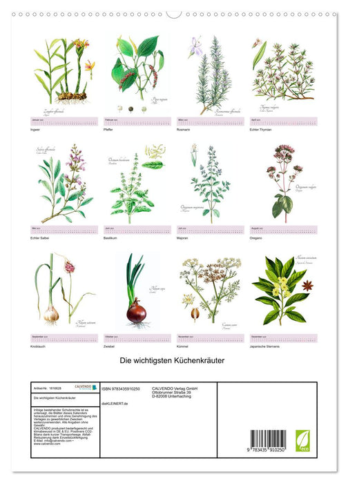 Die wichtigsten Küchenkräuter (CALVENDO Premium Wandkalender 2025)