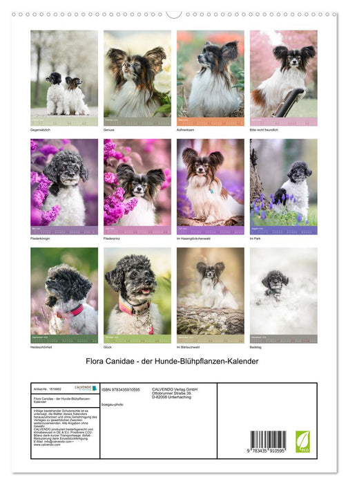 Flora Canidae - der Hunde-Blühpflanzen-Kalender (CALVENDO Premium Wandkalender 2025)