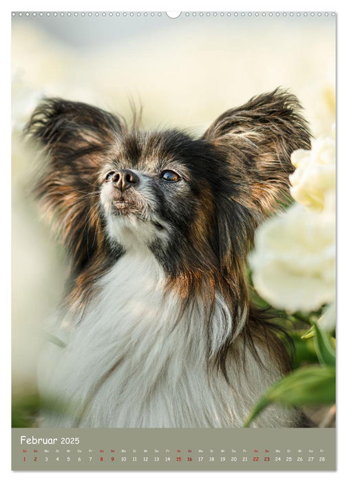 Flora Canidae - der Hunde-Blühpflanzen-Kalender (CALVENDO Premium Wandkalender 2025)