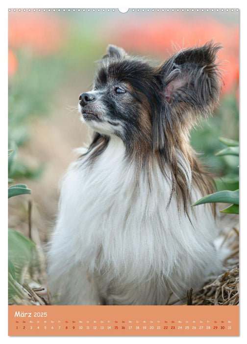 Flora Canidae - der Hunde-Blühpflanzen-Kalender (CALVENDO Premium Wandkalender 2025)