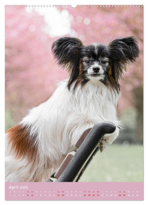 Flora Canidae - der Hunde-Blühpflanzen-Kalender (CALVENDO Premium Wandkalender 2025)