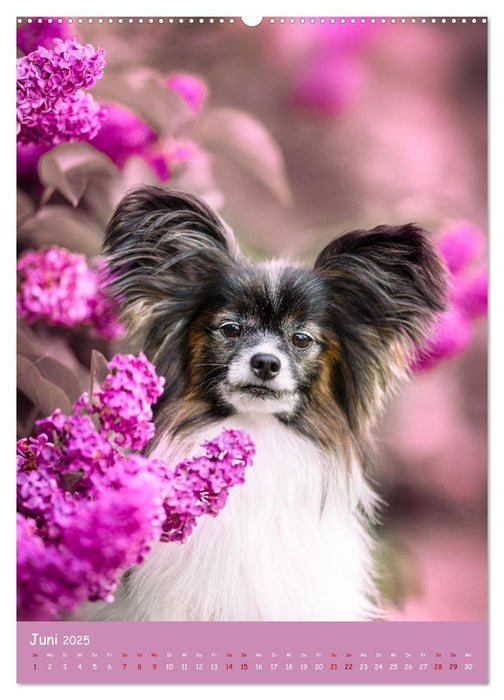 Flora Canidae - der Hunde-Blühpflanzen-Kalender (CALVENDO Premium Wandkalender 2025)