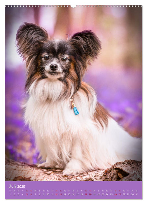 Flora Canidae - der Hunde-Blühpflanzen-Kalender (CALVENDO Premium Wandkalender 2025)