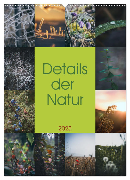 Details der Natur (CALVENDO Wandkalender 2025)