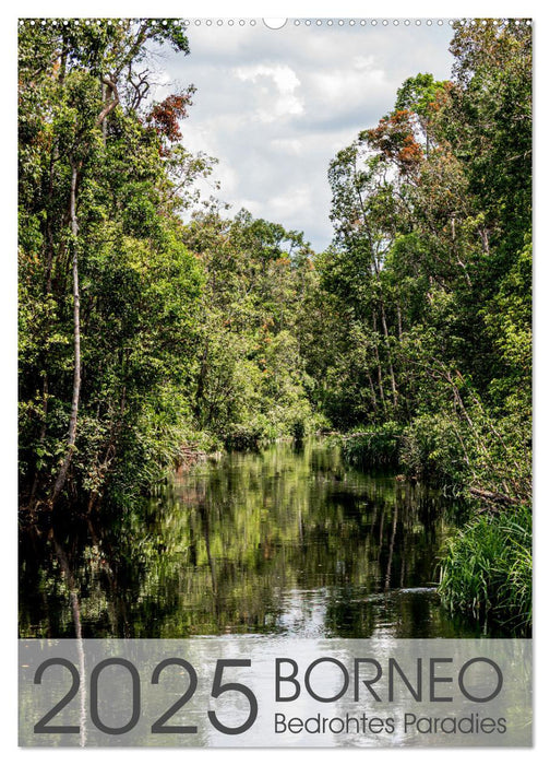 BORNEO Bedrohtes Paradies (CALVENDO Wandkalender 2025)